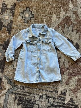 Zara Denim Dress